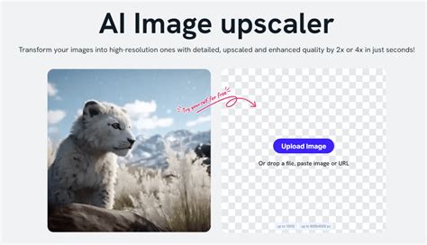 Unpixelate Image Online Fix Pixelated Images Accurately Fotor