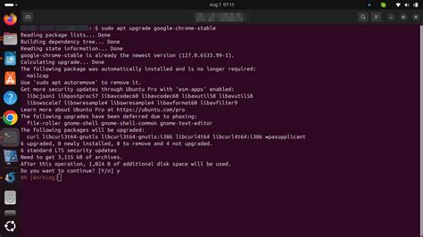 how to update chrome in linux from terminal