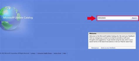 How To Update Web Catalog