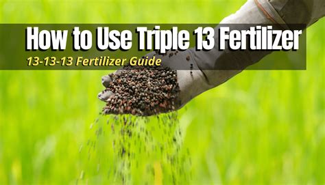 how to use 13-13-13 fertilizer for vegetable garden