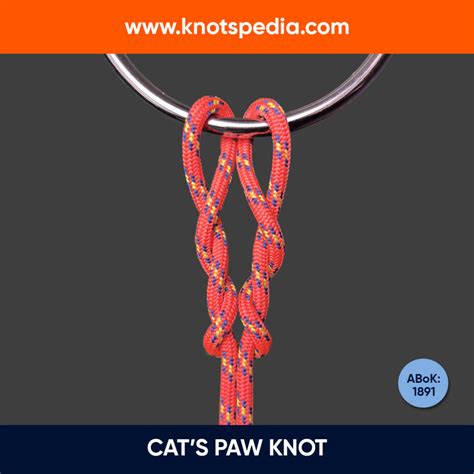 How To Use A Cat's Paw