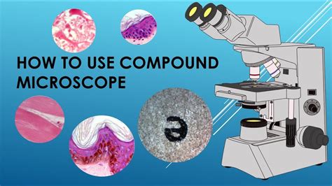 How To Use A Compound Microscope Video