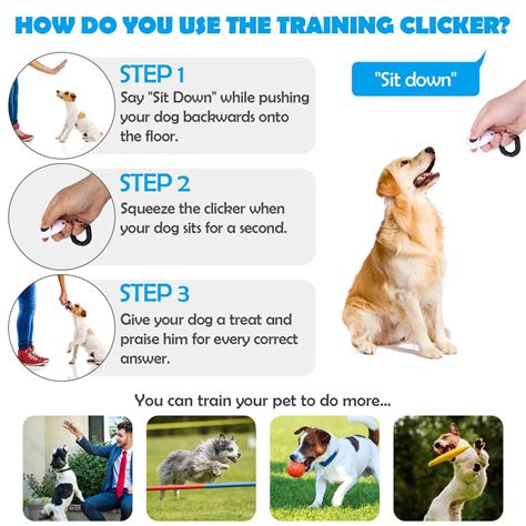 how to use a dog clicker correctly