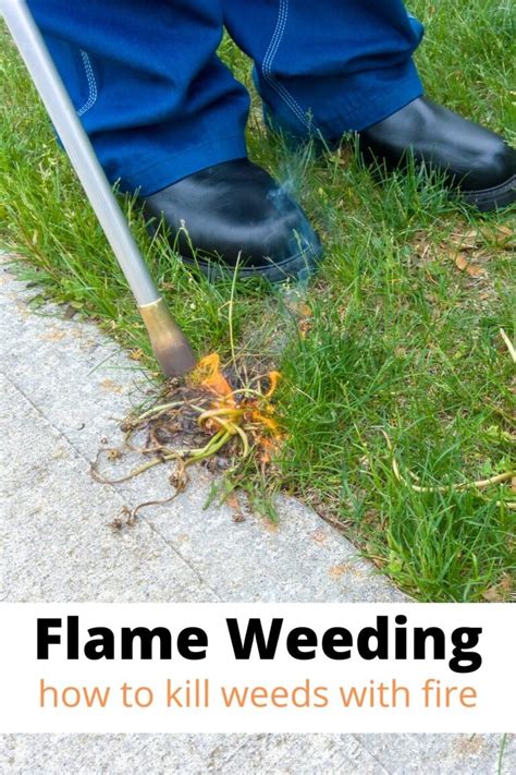 How To Use A Flame Weeder