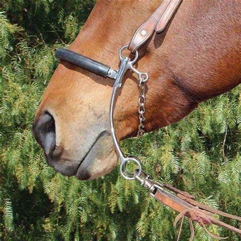 how to use a hackamore