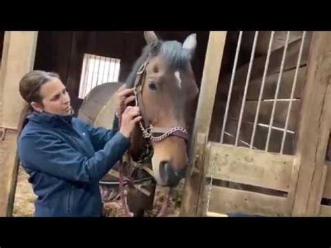 How To Use A Lead Rope With Chain
