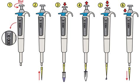 How To Use A Micropipette Eppendorf