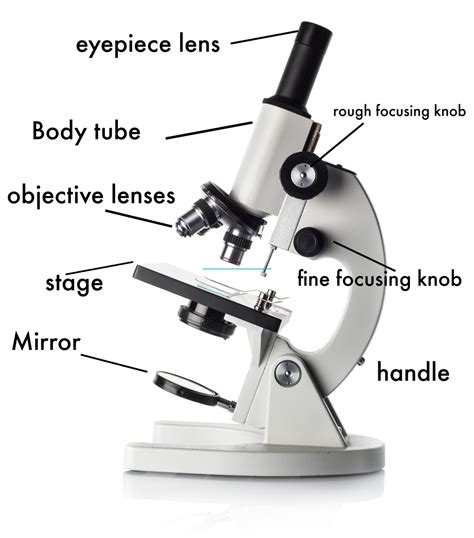 How To Use A Microscope Easy