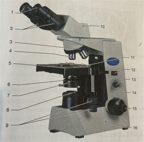 How To Use A Microscope Quizlet