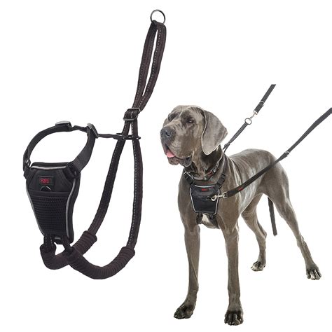 how to use a no pull harness on a dog
