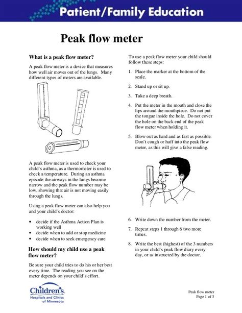 How To Use A Peak Flow Meter Pdf