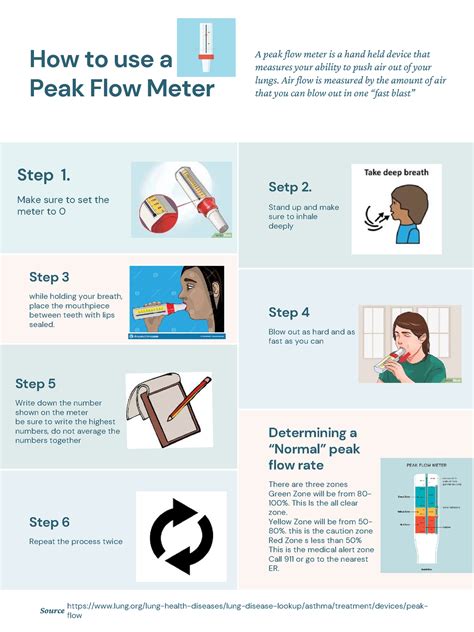 How To Use A Peak Flow Meter Quizlet