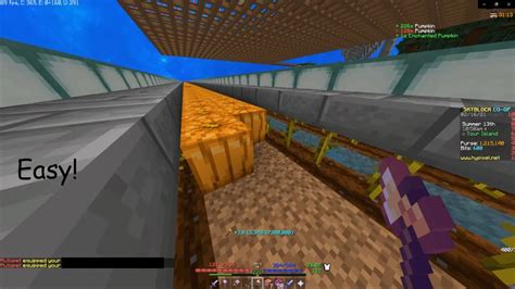 How To Use A Pet In Hypixel Skyblock