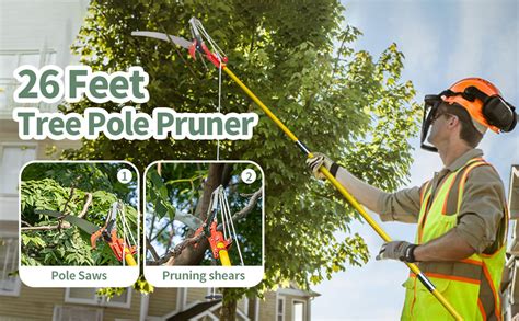 How To Use A Pole Tree Trimmer