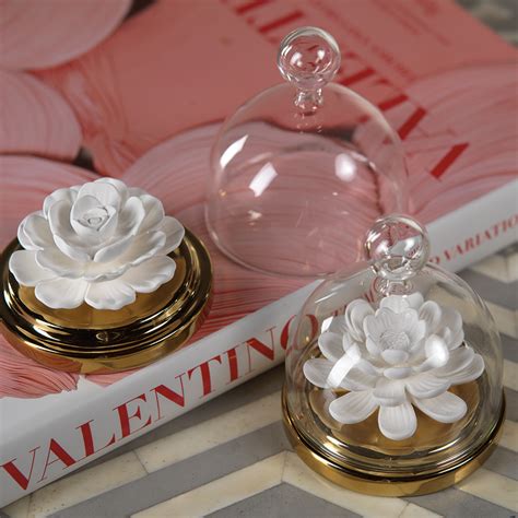 How To Use A Porcelain Diffuser