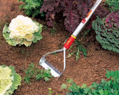How To Use A Push Pull Weeder