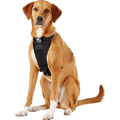 how to use a step in harness for dogs