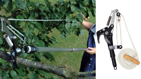 How To Use A Telescopic Tree Pruner
