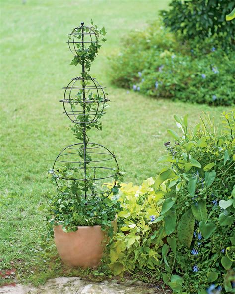How To Use A Topiary Frame