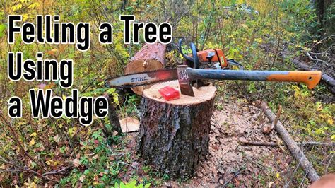 How To Use A Wedge To Cut A Tree
