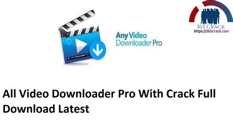 how to use all video downloader professional