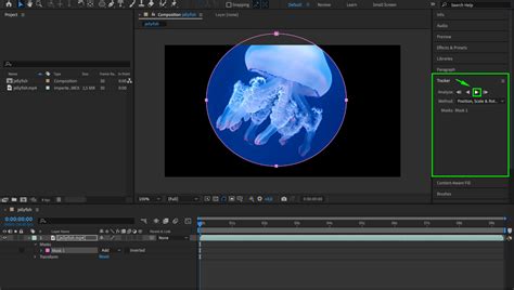How To Use Alpha Mask In After Effects