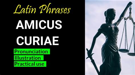 how to use amicus curiae in a sentence