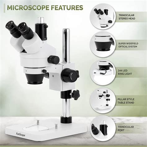 How To Use Amscope Stereo Microscope