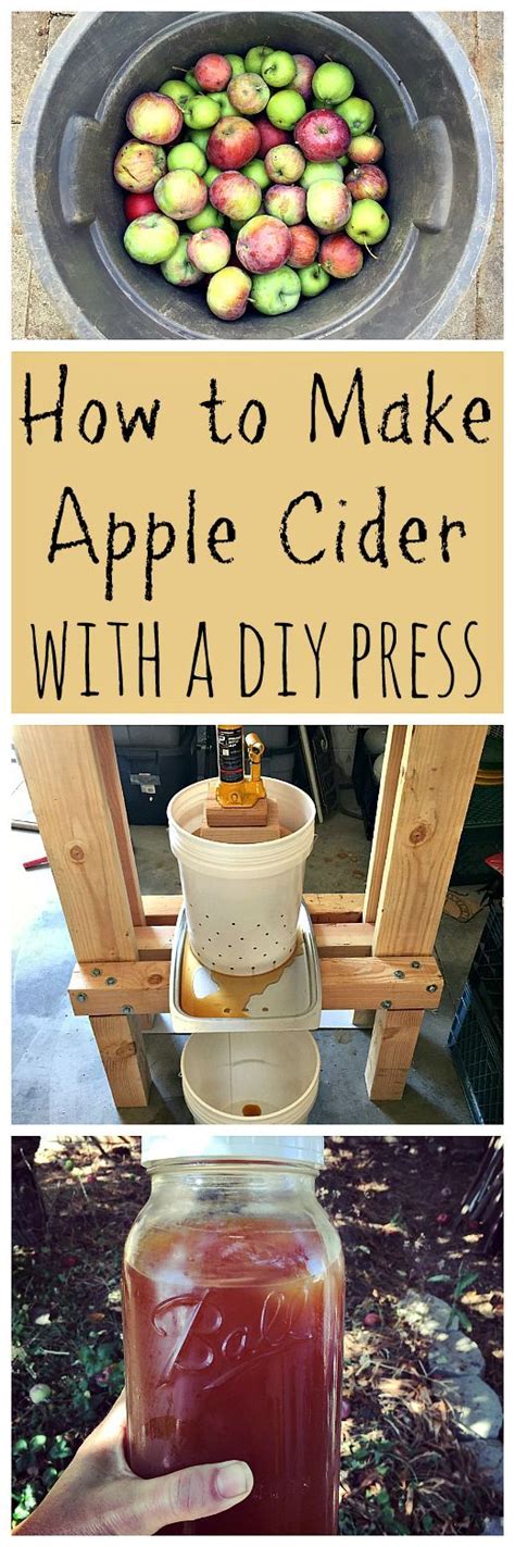 How To Use An Apple Press To Make Cider