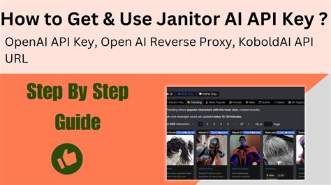 how to use api key in janitor ai
