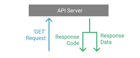 how to use api requests in python
