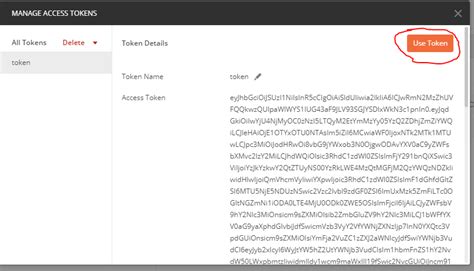 how to use api token in postman