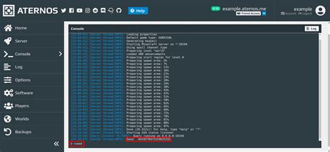 how to use aternos server console
