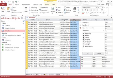 how to use autofilter in access