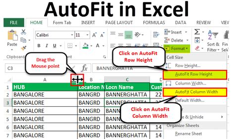 how to use autofit in excel