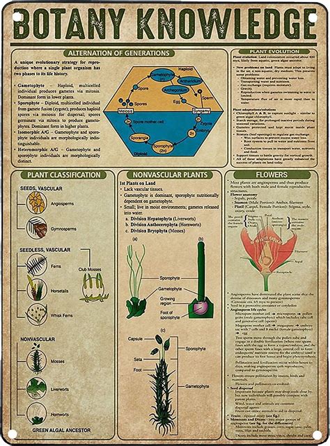 How To Use Botany Knowledge