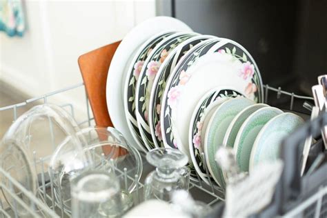How To Use Branch Basics In Dishwasher