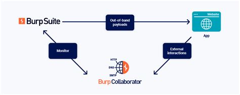 How To Use Burp Suite Collaborator