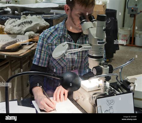 How To Use Camera Lucida With Microscope