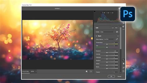 How To Use Camera Raw In Photoshop