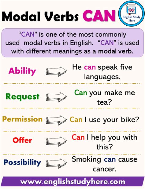 how to use can in a sentence examples