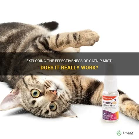 How To Use Catnip Mist