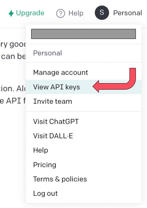 how to use chatgpt api key in python