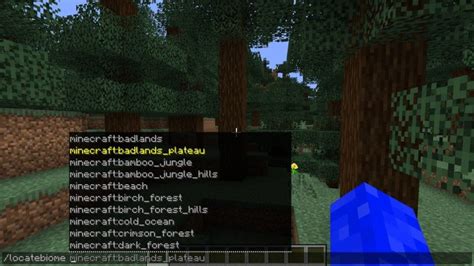 How To Use Commands To Find A Biome