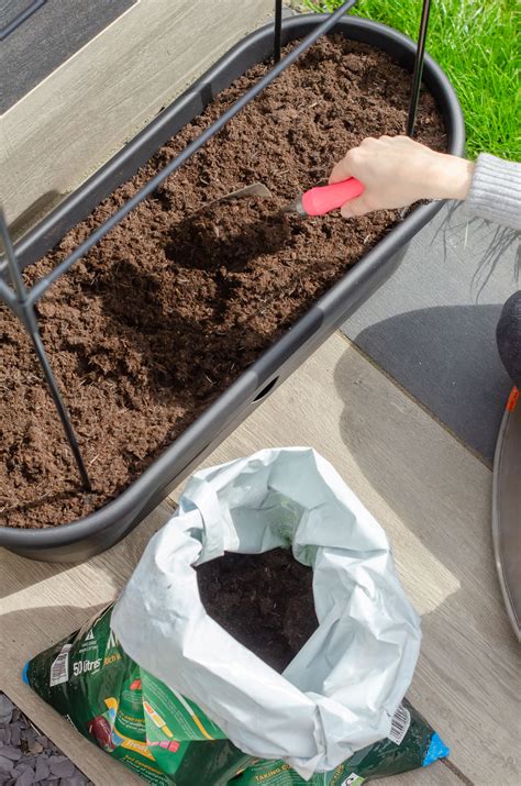 How To Use Compost In Pots