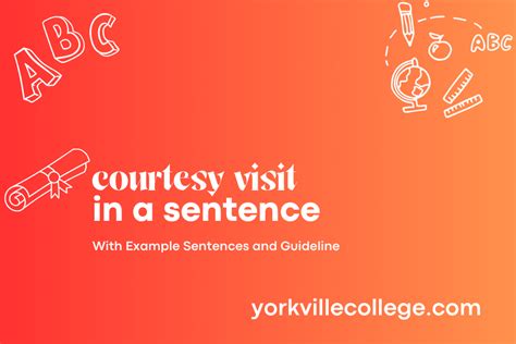 how to use courtesy visit in a sentence
