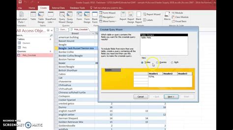 How To Use Crosstab In Access