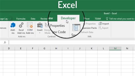 how to use developer in excel