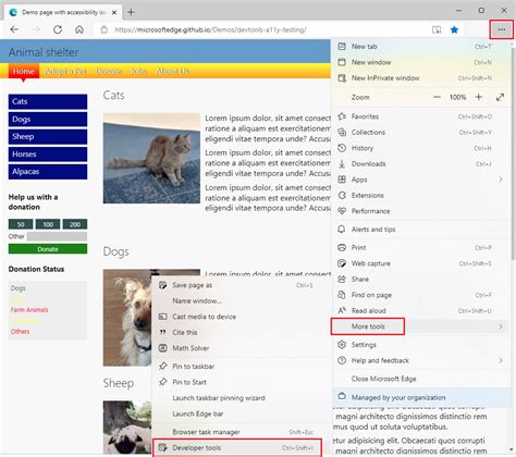 how to use developer tools in microsoft edge
