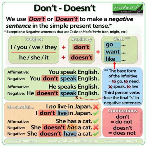 how to use does not in a sentence